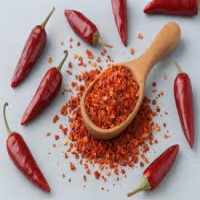 H.PAPRIKA