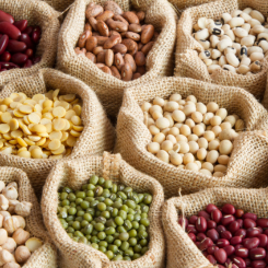 DRIED BEANS