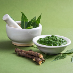 MEDICINAL LEAVES