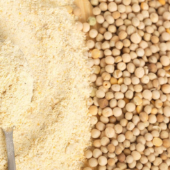 PULSE FLOUR